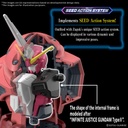 HG Z’GOK SEED FREEDOM VER 1/144