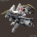 RG TALLGEESE EW 1/144