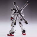 MG GUNDAM CROSS BONE X-1 VER KA 1/100