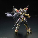 RG GUNDAM ASTRAY GOLD FRAME AMATSU 1/144